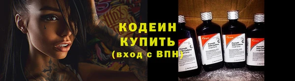 прущие крисы Ельня