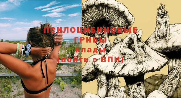 прущий лед Елизово