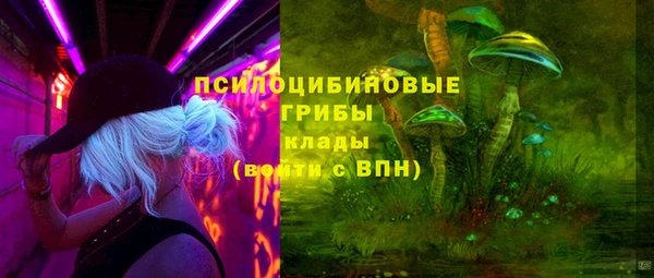 2c-b Дмитриев