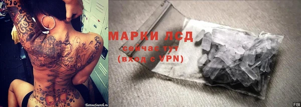 прущие крисы Ельня
