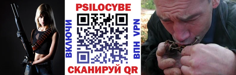 что такое наркотик  Северо-Курильск  Псилоцибиновые грибы Psilocybe 