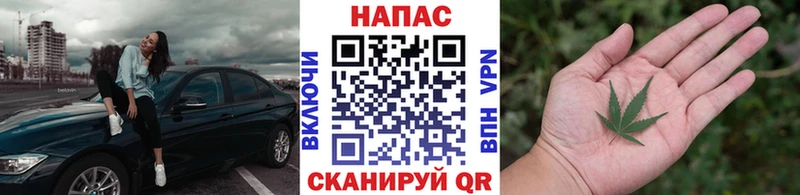 Канабис план  OMG   Северо-Курильск 